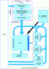 Figure 12 - Schematic diagram of data flow execution with partial renaming