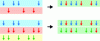 Figure 15 - Examples of dynamic merging of the paths of different instructions.