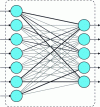 Figure 15 - Fully connected levels