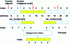 Figure 16 - Altivec operations for a Load at an unaligned address