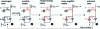 Figure 18 - The successive reading phases of a memory point