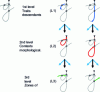 Figure 8 - Extracted knowledge on the three modeling levels