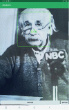 Figure 19 - Face detection