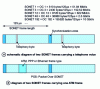 Figure 4 - SONET's physical structure