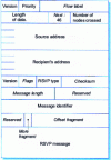 Figure 9 - RSVP message format