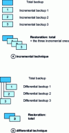 Figure 5 - Backup techniques (according to IBM)