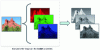 Figure 9 - Breakdown of an image into its three fundamental components (red, green and blue)