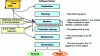 Figure 12 - Ideal XP project life cycle