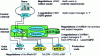 Figure 2 - Interactions and negotiations between players in a medium-sized project