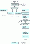 Figure 5 - Incident management (process flow chart)