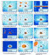 Figure 5 - Outlier detection by 12 literature methods from [45].