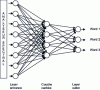 Figure 2 - Example of a multilayer perceptron