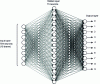 Figure 9 - A 1-hidden-layer perceptron for handwritten digit recognition