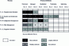 Figure 7 - Example of an evaluation process output