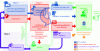 Figure 10 - Explainable artificial intelligence integration and use pipeline. Learning (and re-learning) phase requiring expert support; continuous integration of feedback (REX) with integration and consolidation of new knowledge