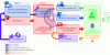 Figure 11 - Explainable artificial intelligence integration and use pipeline (instantiation in the biomedical and healthcare field). Autonomous exploitation/generation of explanations with continuous reinforcement learning (automatic integration of REX).