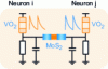 Figure 14 - Two VO2-based neurons coupled with a MoS2-based synapse.