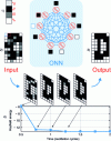 Figure 8 - 1) The grayscale value is encoded in the oscillator phase. 2) From an input image, the phases of the ONN oscillators are initialized, then the ONN oscillates and the oscillators converge to a stable configuration. 3) The oscillator phases are decoded to display the output image. 4) During network evolution, the Hopfield energy of each image is calculated, and the network evolves in the direction of minimization of this energy.