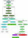 Figure 7 - Scapy's visual representation of Traceroute information