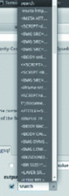 Figure 20 - Possible XSS tests for a given parameter