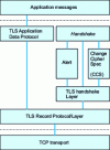 Figure 6 - TLS structure