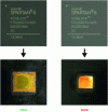 Figure 10 - Illustration of counterfeit detection (right) of an FPGA circuit (left) after decapsulation (source Laboratoire Hubert Curien)