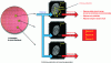 Figure 20 - Illustration of PUF operation in three identical integrated circuits