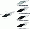 Figure 6 - The four typical cases (right) of counterfeiting of the original integrated circuit (left)