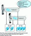 Figure 7 - Representation of the "pilot asynchronism" principle