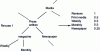 Figure 2 - Index expansion via thesaurus