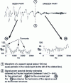 Figure 2 - Waveform of a speech signal (approx. 100 ms)