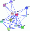 Figure 5 - Example of a graph describing interactions between proteins (image taken from Wikipedia under Creative Commons license)