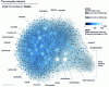 Figure 10 - Digital Humanities network analysis on Twitter – Martin Grandjean