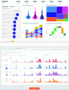 Figure 4 - Dashboards created with MS: Power BI and Tableau public