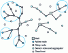 Figure 1 - Example of a sensor network.