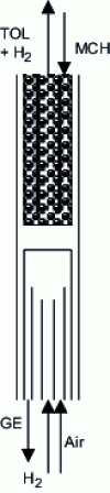 Figure 10 - MCH dehydrogenation exchanger-reactor heated by hydrogen combustion [43].