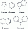 Figure 4 - Nitrogenous heterocyclic molecules