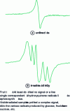 Figure 6 - EPR spectra of raisins