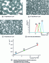 Figure 5 - Optical microscopy images obtained on eicosane-in-water emulsions stabilized by 7 nm diameter aerosil A380 silica nanoparticles functionalized with CTAB at a rate of 1 molecule per 13 nm2 of silica [4].