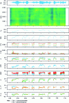 Figure 2 - Example of marker extraction on voiced segments of an audio sample extracted from the TILE database (text: "I lived alone without anyone with...")