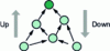 Figure 5 - Tree formation based on Acyclic Directional Graphs (ADGs)