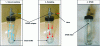 Figure 2 - Sampling procedure