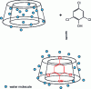 Figure 4 - Formation of an inclusion complex by molecular encapsulation between betacyclodextrin and trichlorophenol molecule