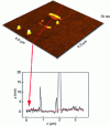 Figure 7 - Thickness measurement by atomic force microscopy (AFM, scratching technique) of a PPF surface modified with compound 2