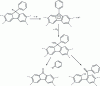 Figure 2 - Proposed degradation mechanism for a 9-monosubstituted polyfluorene by Professors List and Scherf [46].