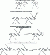 Figure 4 - Proposed degradation mechanism for a defect-free penta(9,9-dialkylfluorene) according to Professors Meijer and Schenning's group [49].