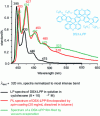 Figure 5 - DSX-LPP photoluminescence (PL) spectra