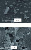 Figure 11 - Scanning electron microscopy (SEM) images of the material resulting from the co-encapsulation of PBSA and CTA+ within a mesoporous silica.