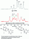 Figure 13 - Cross Polarization Magic Angle Spinning (CPMAS) 1H-13C NMR spectra of UV filter and mesoporous silica containing UV filter