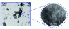 Figure 5 - Transmission electron microscopy (TEM) images of an as-synthesized MCM-41-type SMO